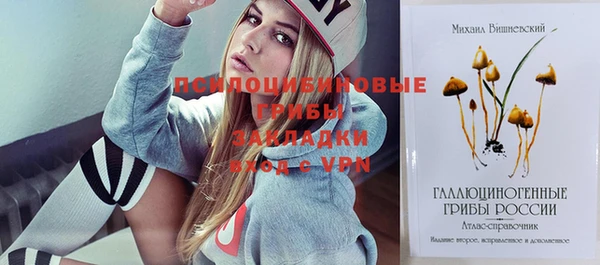 спайс Баксан