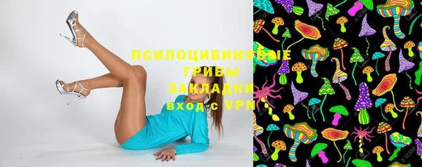 спайс Баксан
