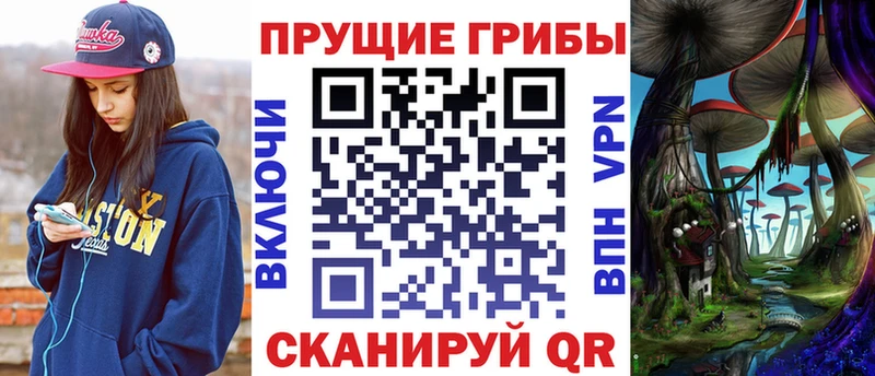 Купить закладки  Сосновый Бор  Псилоцибиновые грибы MAGIC MUSHROOMS 
