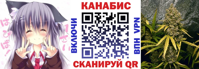 Купить закладки  Сосновый Бор  Бошки марихуана OG Kush 